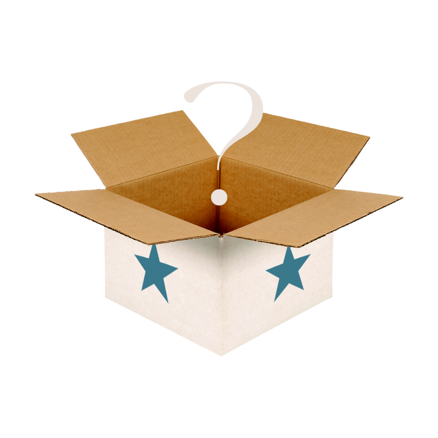 Sara Evans Mystery Box
